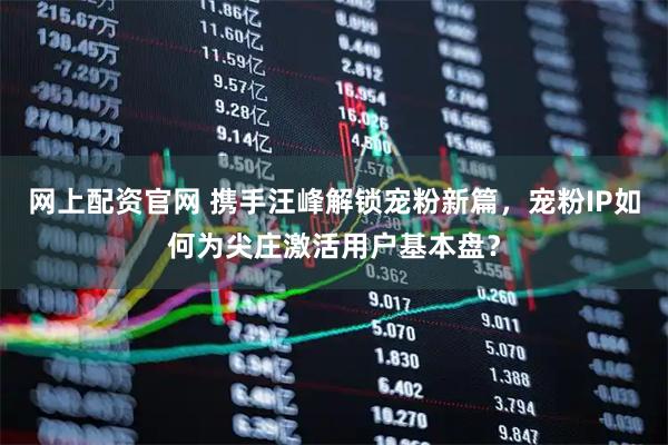 网上配资官网 携手汪峰解锁宠粉新篇，宠粉IP如何为尖庄激活用户基本盘？